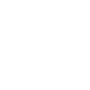 camion
