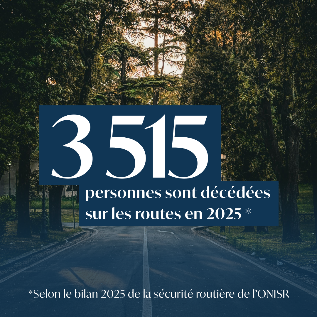 DATA ANNUELLE 2025 - ONISR